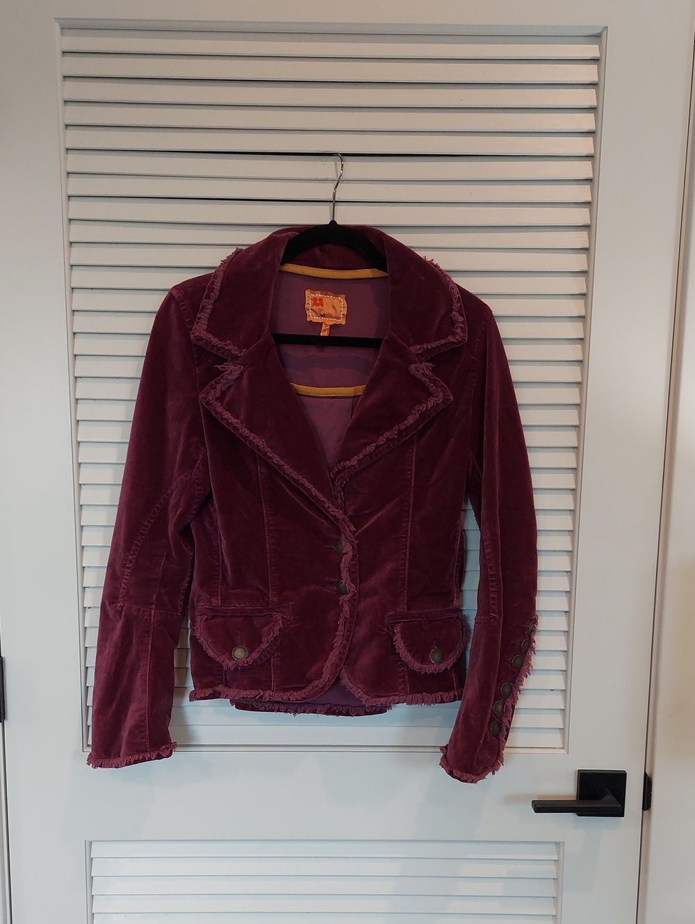 Twill Twenty Two Velvet Blazer in Plum